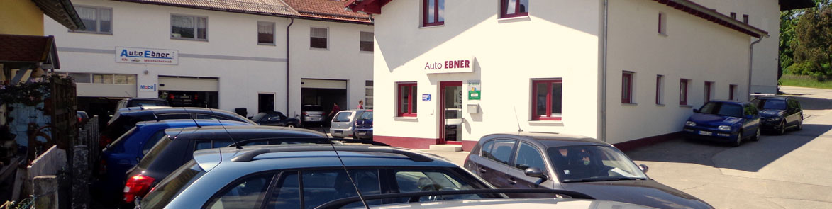 banner startseite
